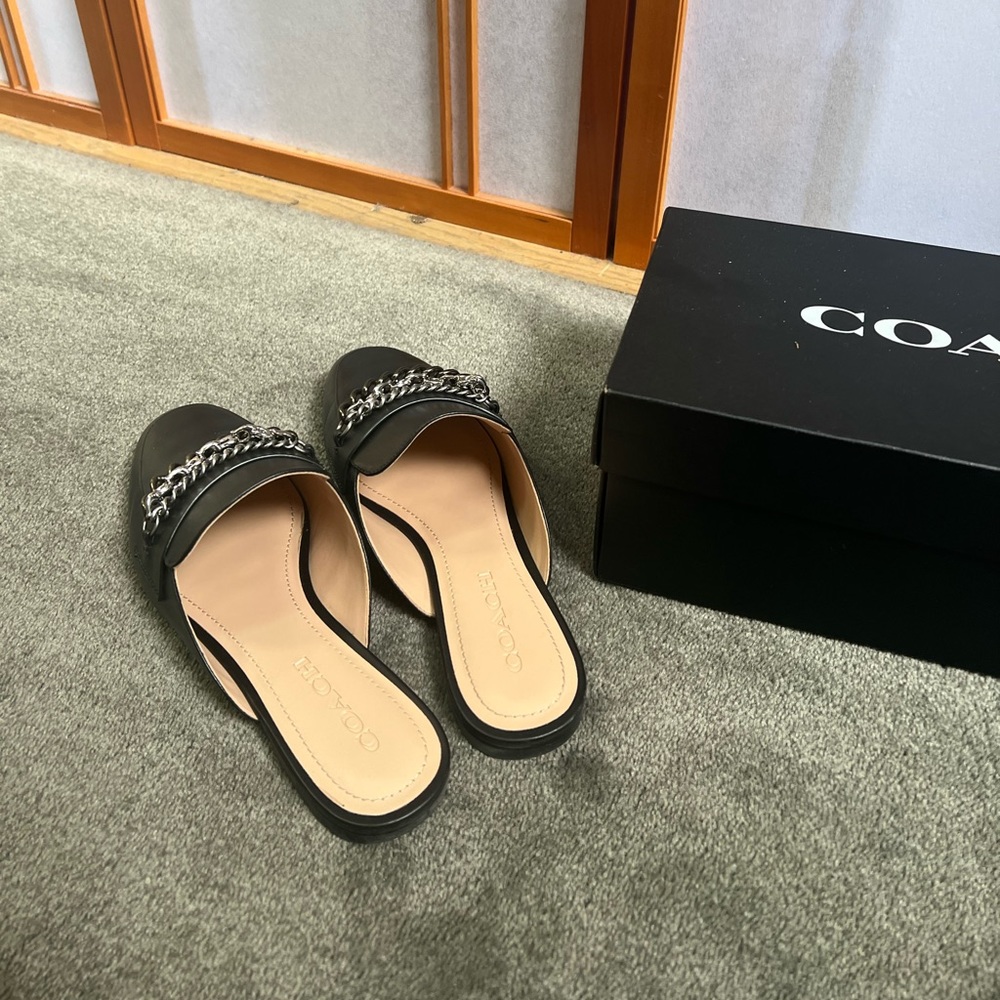 Coach Faye Leather Shoes